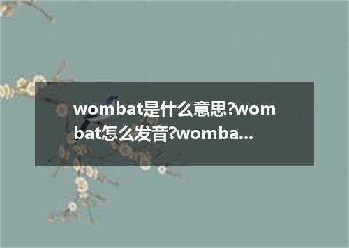 wombat是什么意思?wombat怎么发音?wombat的解释和用法