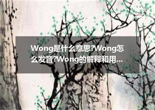 Wong是什么意思?Wong怎么发音?Wong的解释和用法