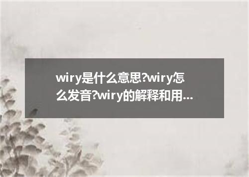 wiry是什么意思?wiry怎么发音?wiry的解释和用法