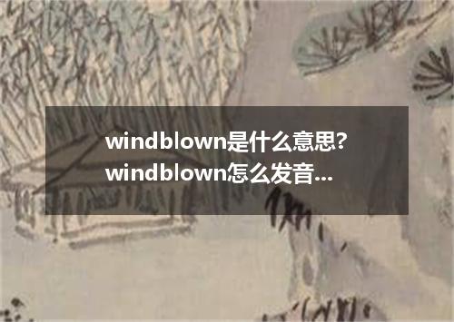 windblown是什么意思?windblown怎么发音?windblown的解释和用法