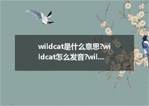 wildcat是什么意思?wildcat怎么发音?wildcat的解释和用法