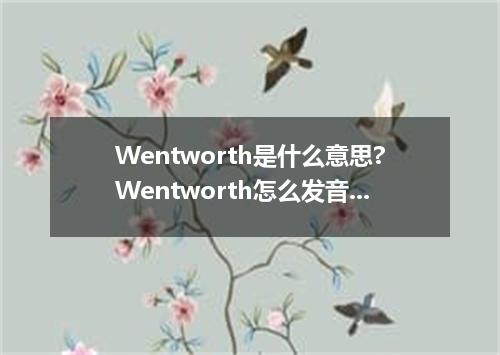 Wentworth是什么意思?Wentworth怎么发音?Wentworth的解释和用法