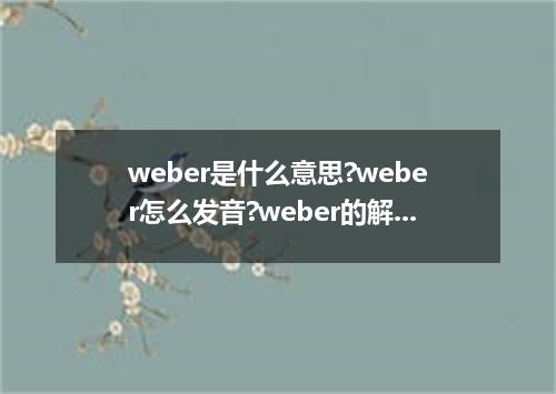 weber是什么意思?weber怎么发音?weber的解释和用法