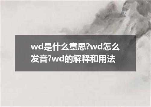 wd是什么意思?wd怎么发音?wd的解释和用法