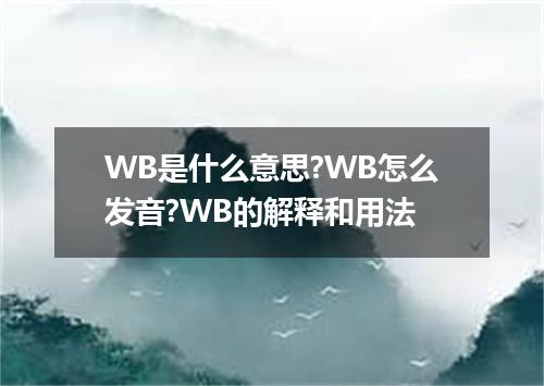 WB是什么意思?WB怎么发音?WB的解释和用法