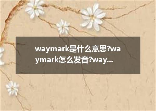 waymark是什么意思?waymark怎么发音?waymark的解释和用法