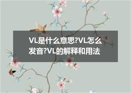 VL是什么意思?VL怎么发音?VL的解释和用法