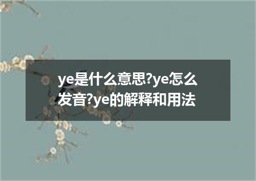 ye是什么意思?ye怎么发音?ye的解释和用法