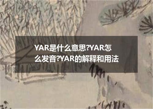 YAR是什么意思?YAR怎么发音?YAR的解释和用法