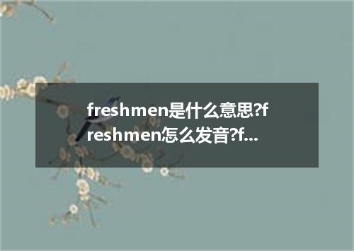 freshmen是什么意思?freshmen怎么发音?freshmen的解释和用法