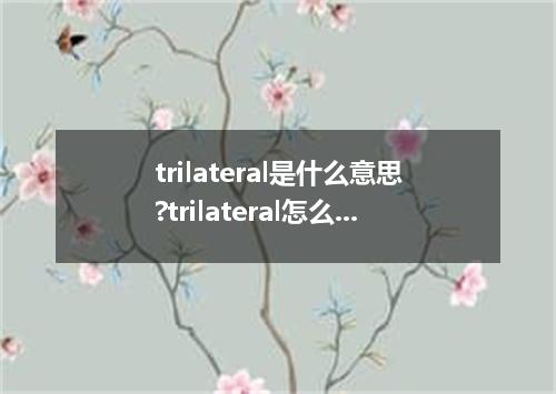 trilateral是什么意思?trilateral怎么发音?trilateral的解释和用法