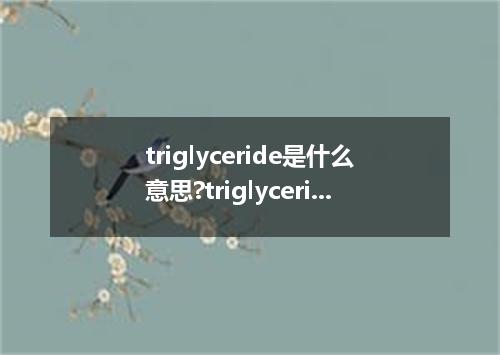 triglyceride是什么意思?triglyceride怎么发音?triglyceride的解释和用法
