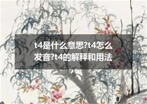 t4是什么意思?t4怎么发音?t4的解释和用法