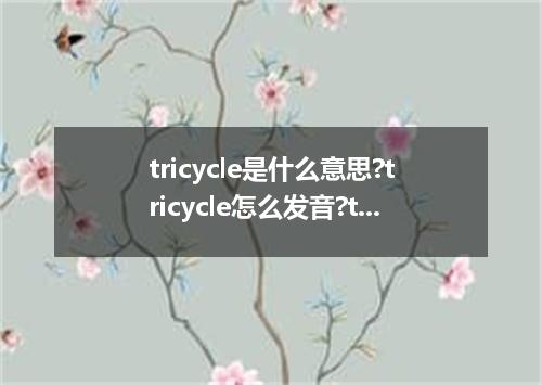 tricycle是什么意思?tricycle怎么发音?tricycle的解释和用法