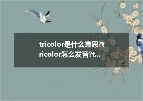 tricolor是什么意思?tricolor怎么发音?tricolor的解释和用法