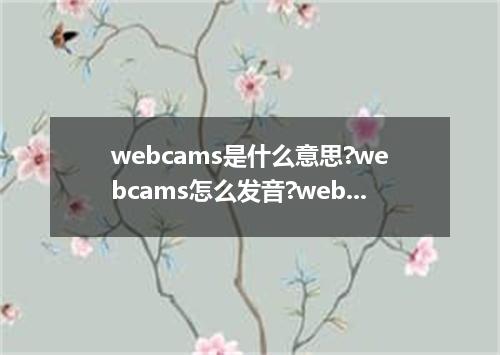 webcams是什么意思?webcams怎么发音?webcams的解释和用法