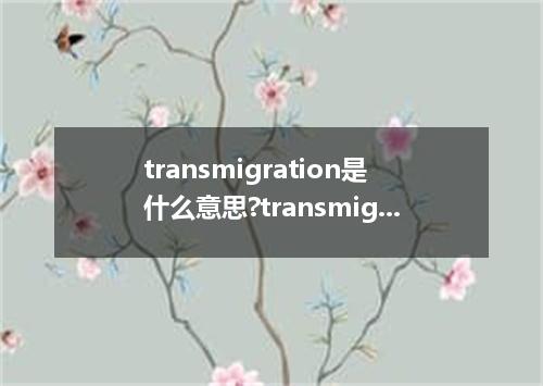 transmigration是什么意思?transmigration怎么发音?transmigration的解释和用法