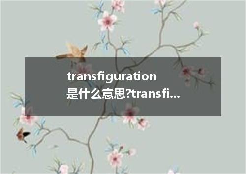 transfiguration是什么意思?transfiguration怎么发音?transfiguration的解释和用法