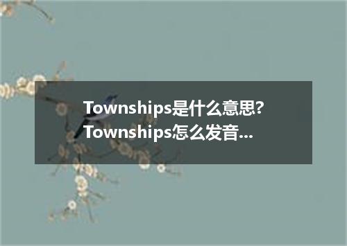 Townships是什么意思?Townships怎么发音?Townships的解释和用法
