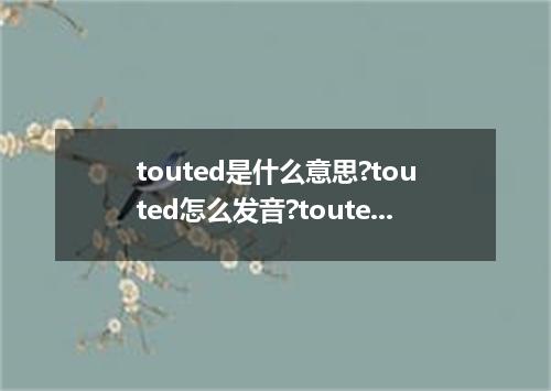 touted是什么意思?touted怎么发音?touted的解释和用法
