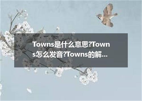 Towns是什么意思?Towns怎么发音?Towns的解释和用法