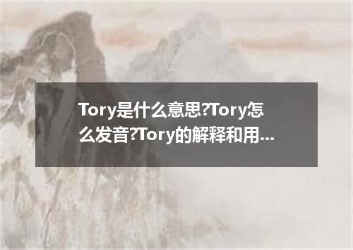 Tory是什么意思?Tory怎么发音?Tory的解释和用法