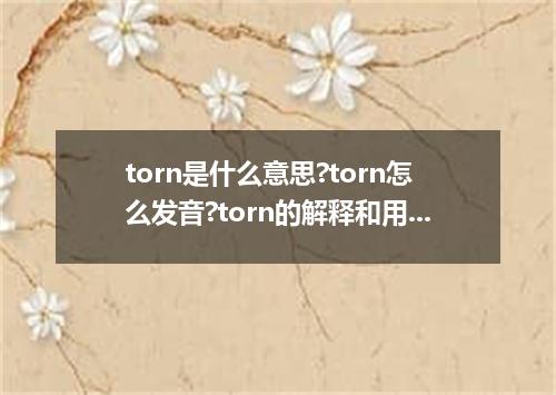 torn是什么意思?torn怎么发音?torn的解释和用法