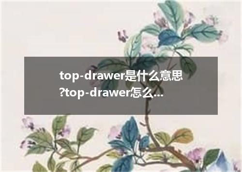 top-drawer是什么意思?top-drawer怎么发音?top-drawer的解释和用法