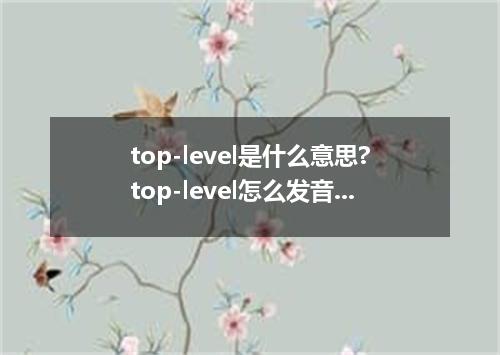 top-level是什么意思?top-level怎么发音?top-level的解释和用法
