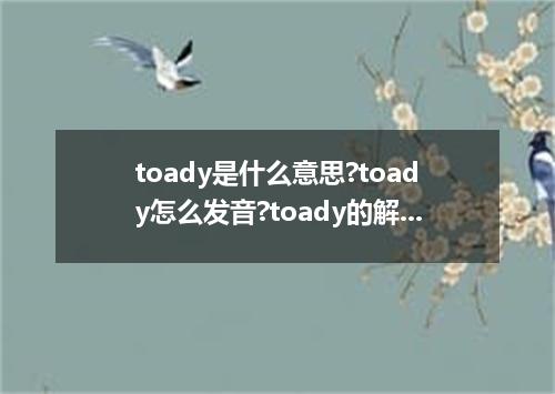 toady是什么意思?toady怎么发音?toady的解释和用法