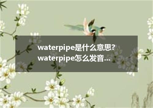 waterpipe是什么意思?waterpipe怎么发音?waterpipe的解释和用法