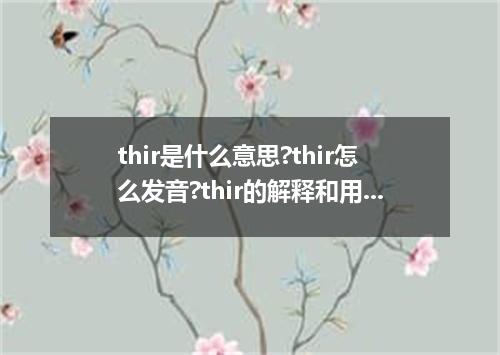 thir是什么意思?thir怎么发音?thir的解释和用法