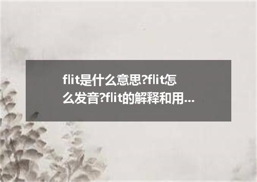 flit是什么意思?flit怎么发音?flit的解释和用法
