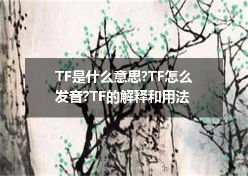 TF是什么意思?TF怎么发音?TF的解释和用法