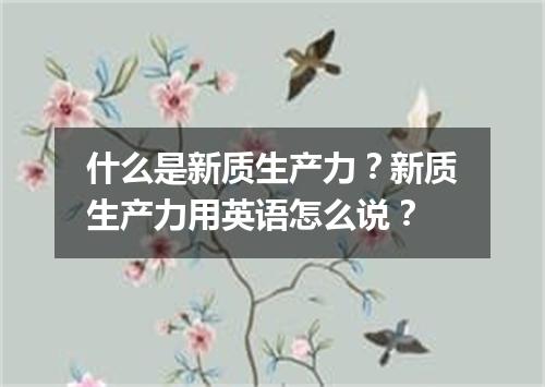 什么是新质生产力?新质生产力用英语怎么说?