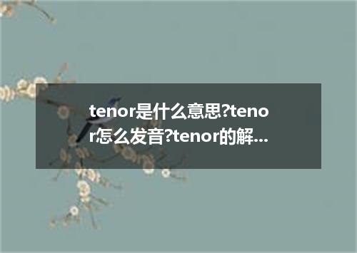 tenor是什么意思?tenor怎么发音?tenor的解释和用法