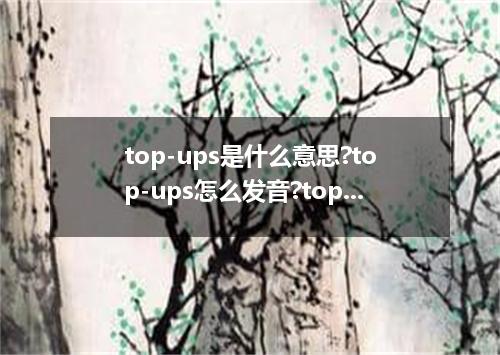 top-ups是什么意思?top-ups怎么发音?top-ups的解释和用法