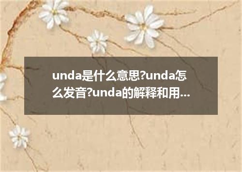unda是什么意思?unda怎么发音?unda的解释和用法