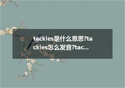 tackles是什么意思?tackles怎么发音?tackles的解释和用法