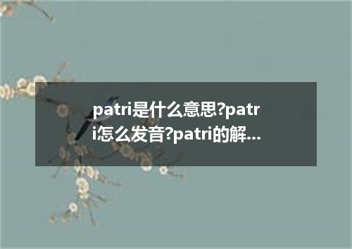 patri是什么意思?patri怎么发音?patri的解释和用法