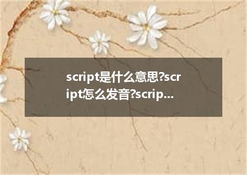 script是什么意思?script怎么发音?script的解释和用法