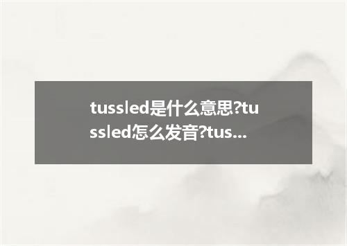 tussled是什么意思?tussled怎么发音?tussled的解释和用法