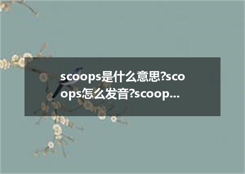 scoops是什么意思?scoops怎么发音?scoops的解释和用法