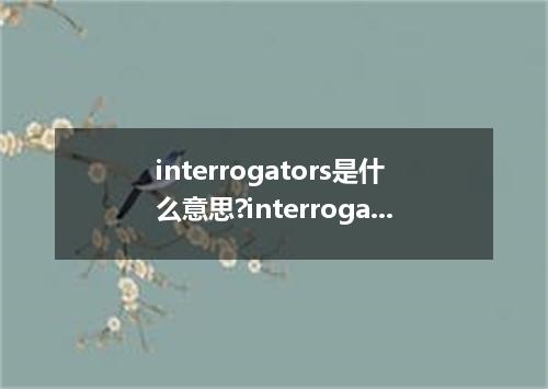 interrogators是什么意思?interrogators怎么发音?interrogators的解释和用法