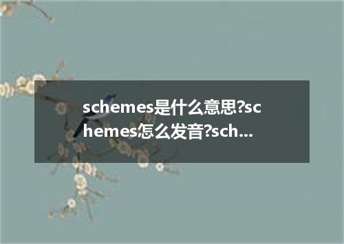 schemes是什么意思?schemes怎么发音?schemes的解释和用法