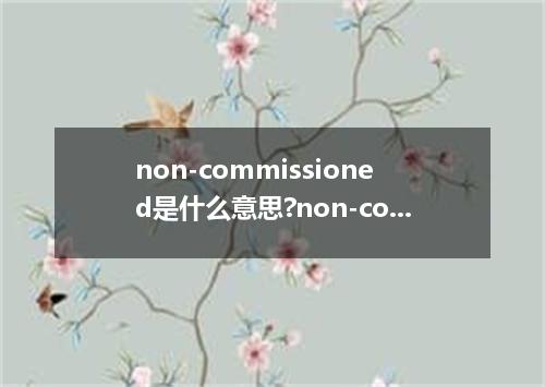 non-commissioned是什么意思?non-commissioned怎么发音?non-commissioned的解释和用法