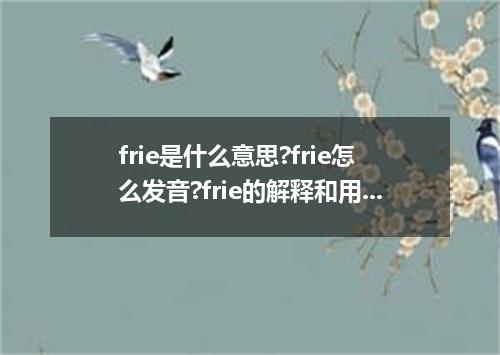 frie是什么意思?frie怎么发音?frie的解释和用法