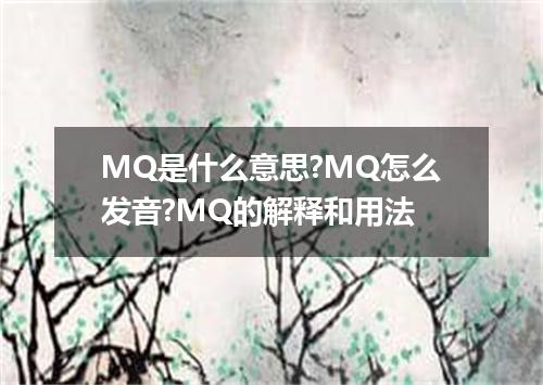 MQ是什么意思?MQ怎么发音?MQ的解释和用法