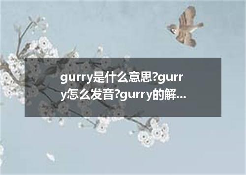 gurry是什么意思?gurry怎么发音?gurry的解释和用法
