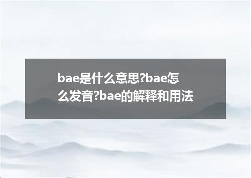 bae是什么意思?bae怎么发音?bae的解释和用法
